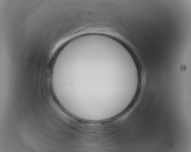 X0000111001498200906191131