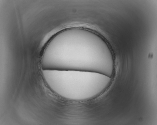 X0000111001501200906191131