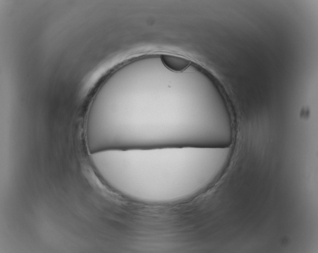 X0000111001503200906191131