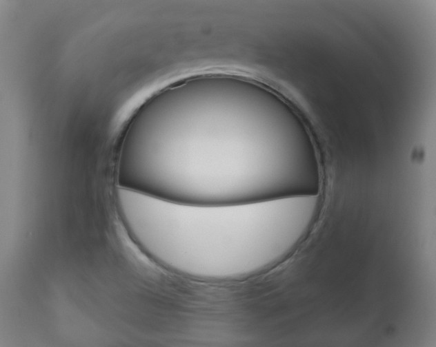 X0000111001504200906191131