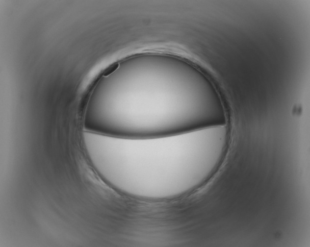 X0000111001506200906191131