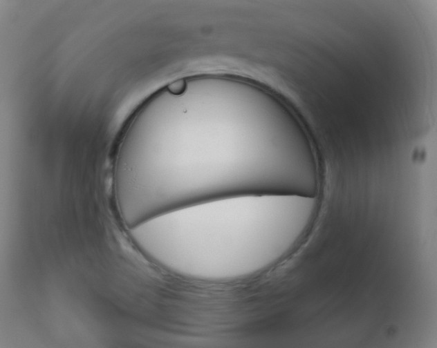 X0000111001509200906191131