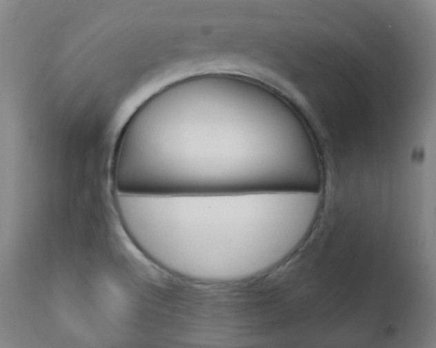 X0000111001512200906191131