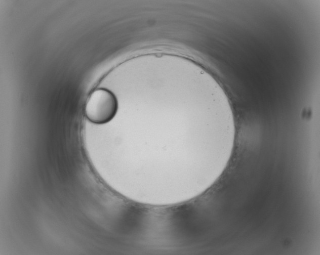 X0000111001514200906191131