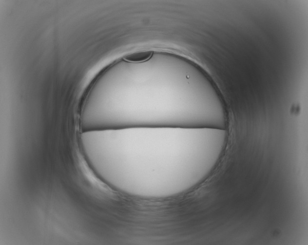 X0000111001515200906191131