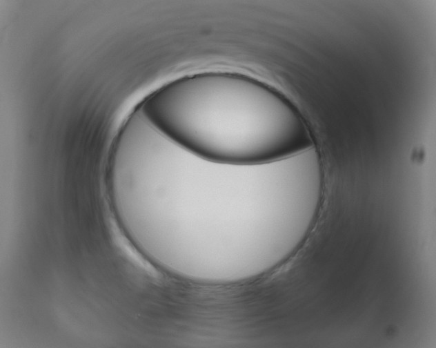 X0000111001518200906191131