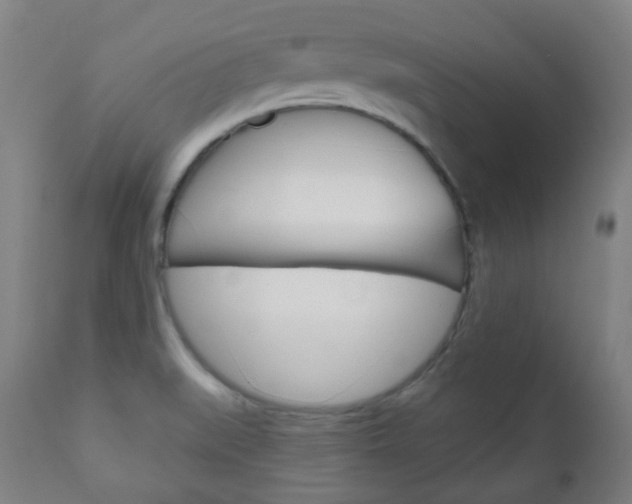 X0000111001519200906191131