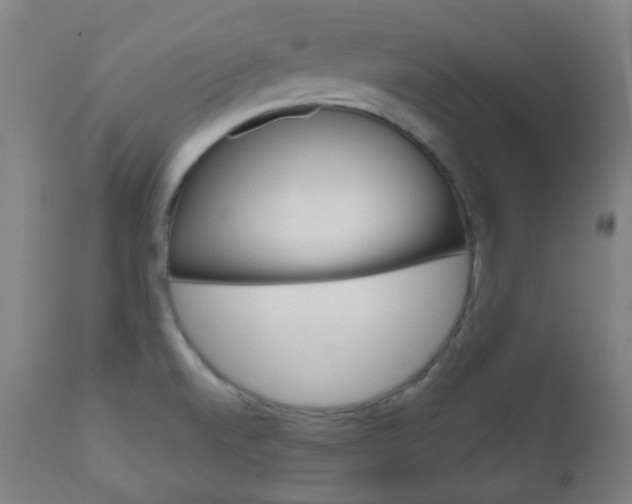 X0000111001520200906191131