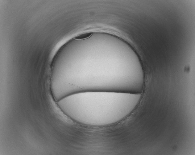 X0000111001522200906191131