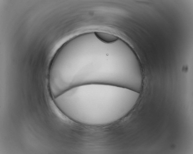 X0000111001523200906191131
