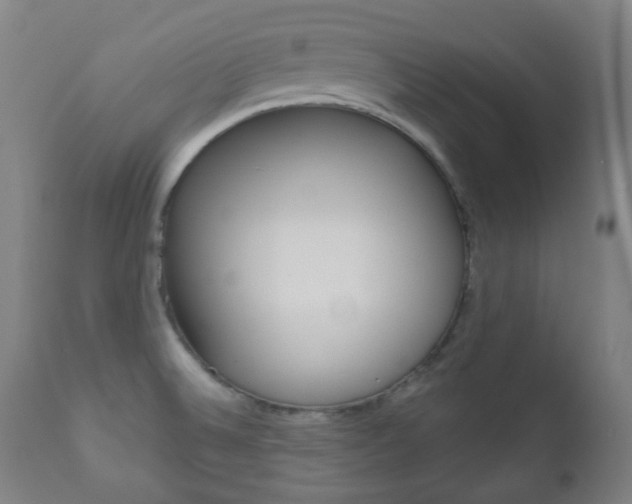 X0000111001524200906191131