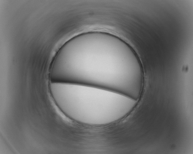 X0000111001525200906191131