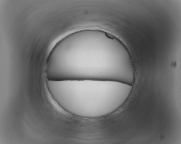X0000111001526200906191131