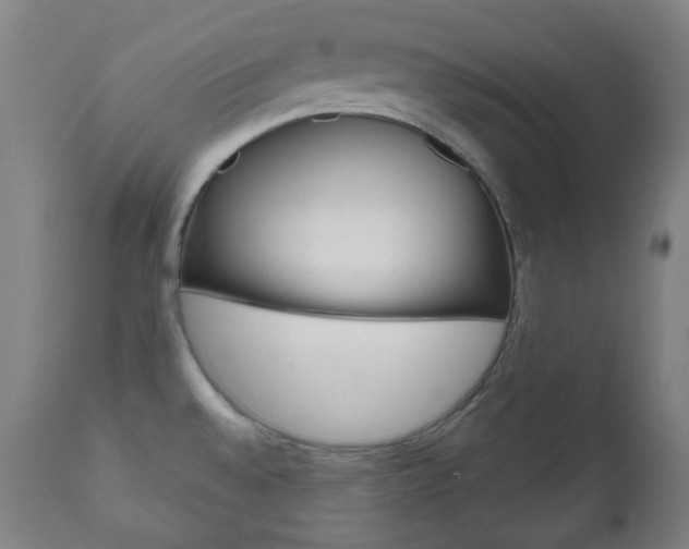 X0000111001528200906191131