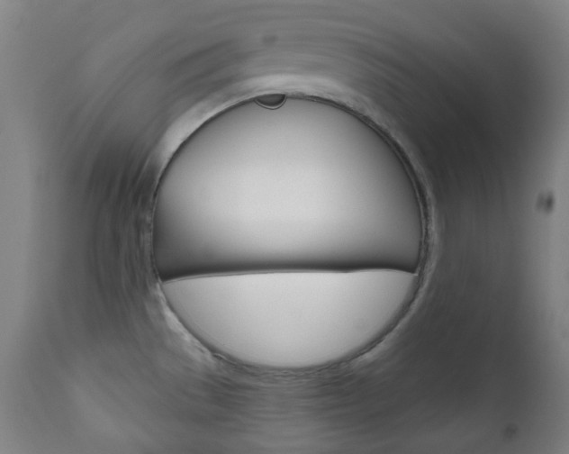 X0000111001529200906191131