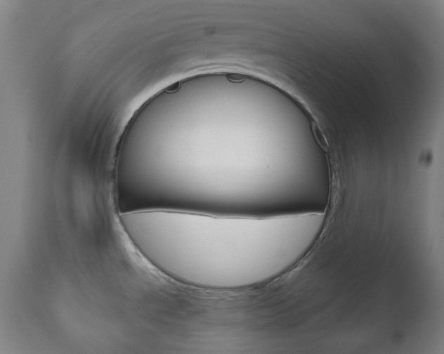 X0000111001534200906191132
