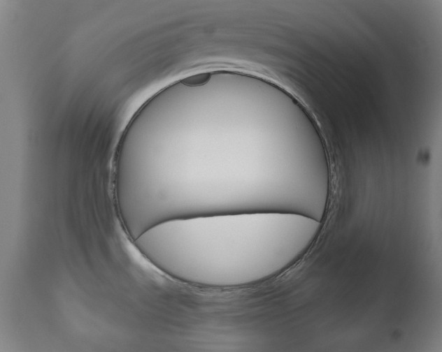 X0000111001535200906191132