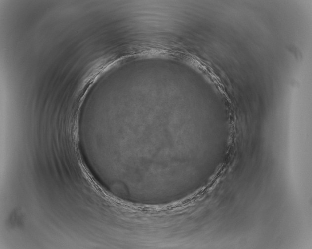 X0000111000002200906191600