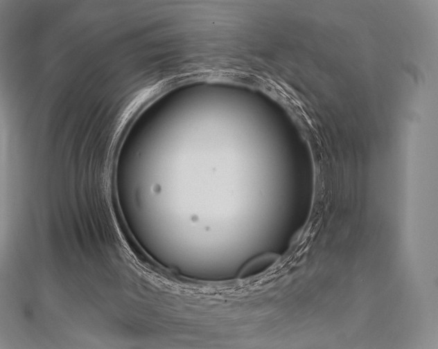 X0000111000003200906191600