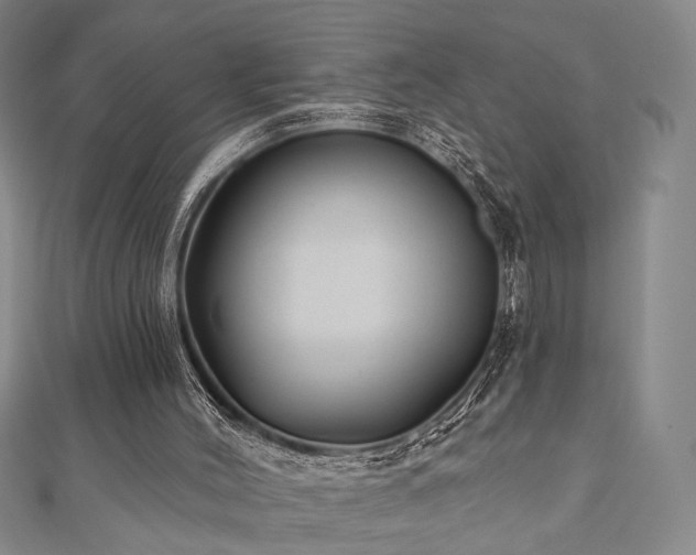 X0000111000004200906191600