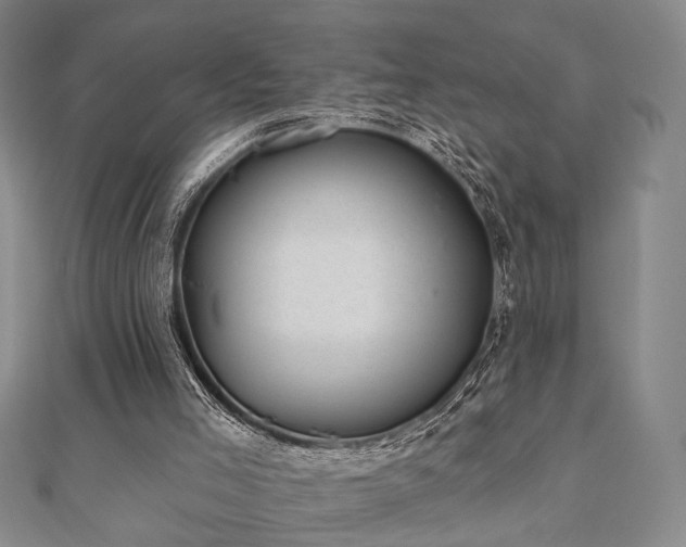 X0000111000005200906191600