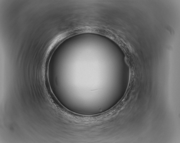 X0000111000006200906191600