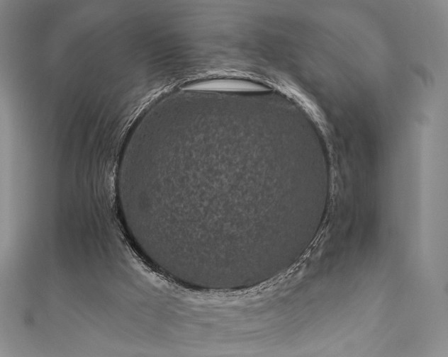 X0000111000009200906191600