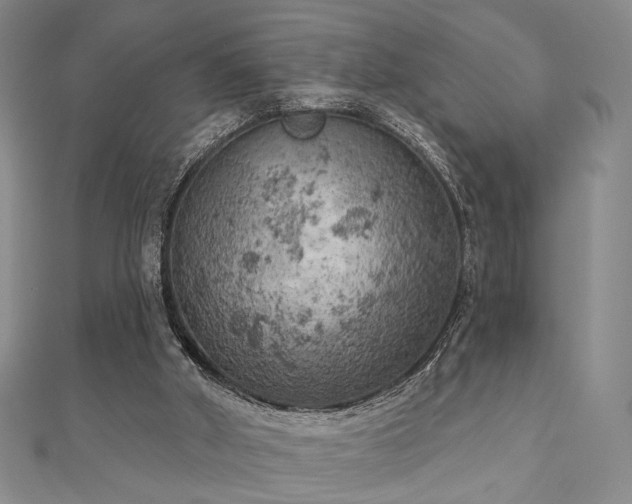 X0000111000010200906191600