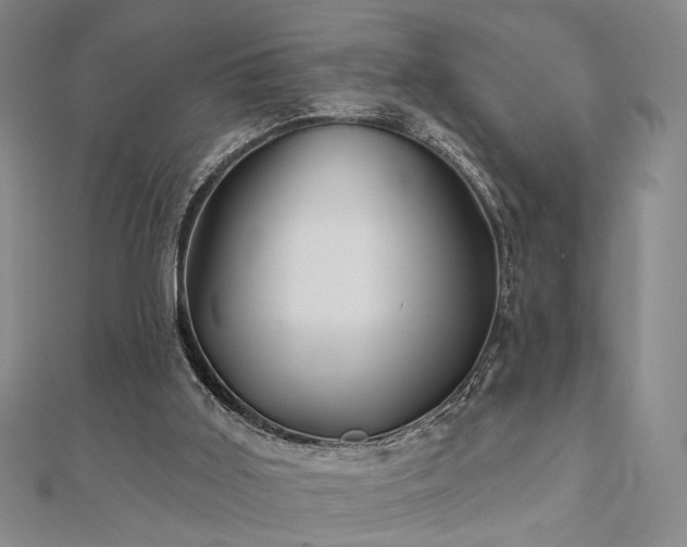 X0000111000011200906191600