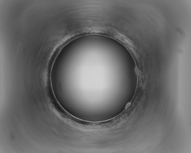 X0000111000012200906191600