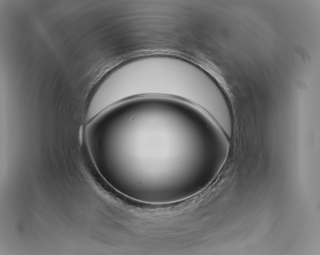 X0000111000013200906191600