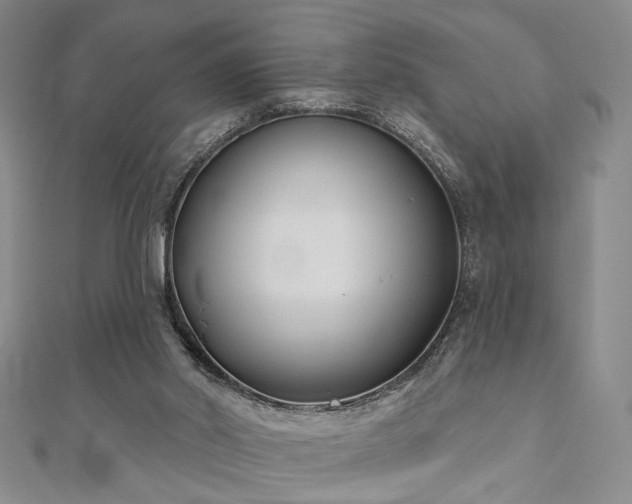 X0000111000014200906191600