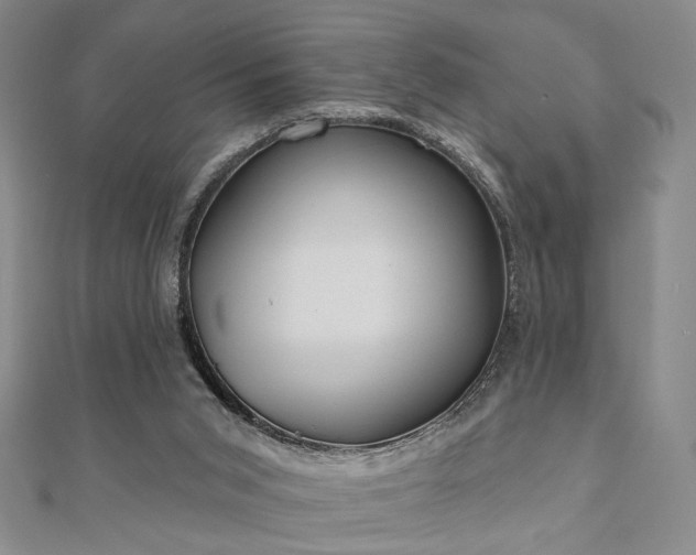 X0000111000015200906191600