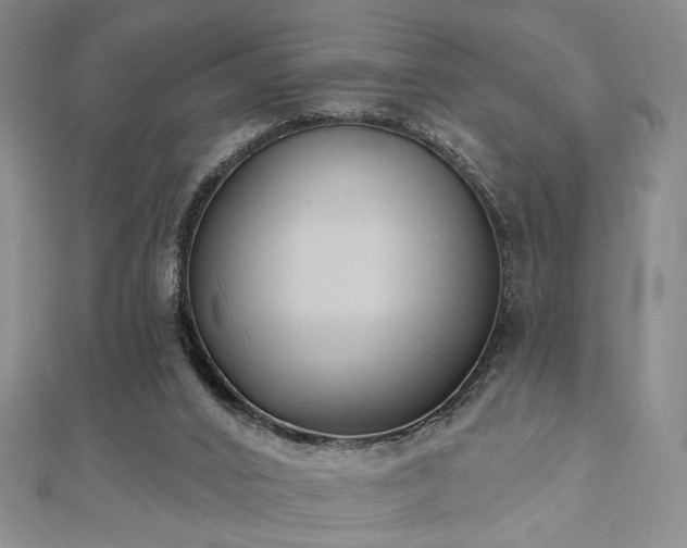 X0000111000016200906191600