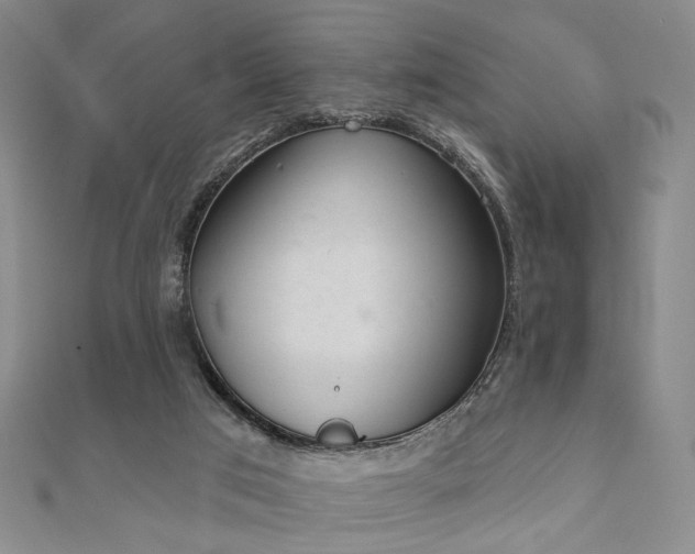 X0000111000017200906191600