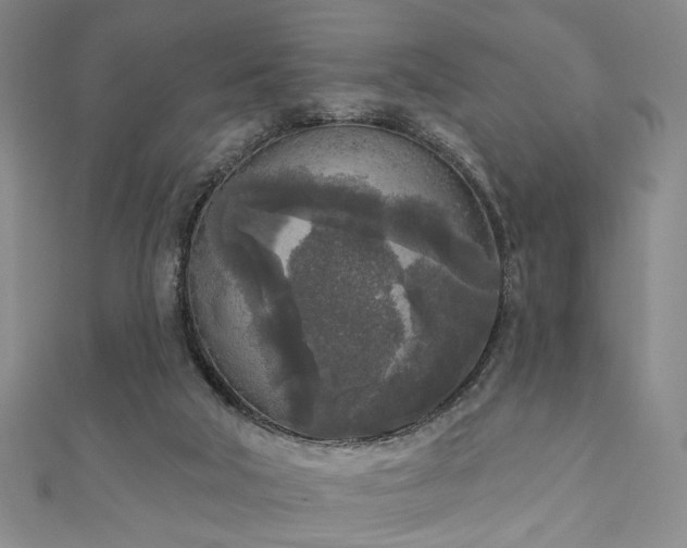 X0000111000018200906191600