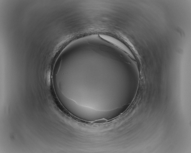 X0000111000019200906191600