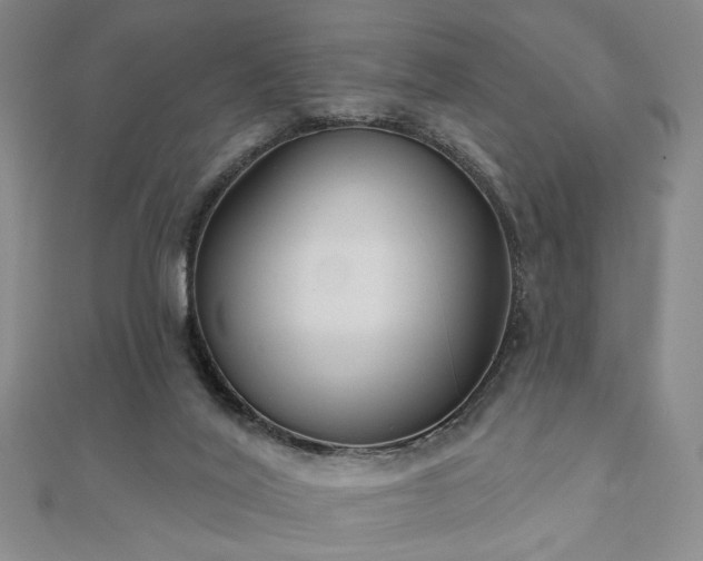 X0000111000020200906191600