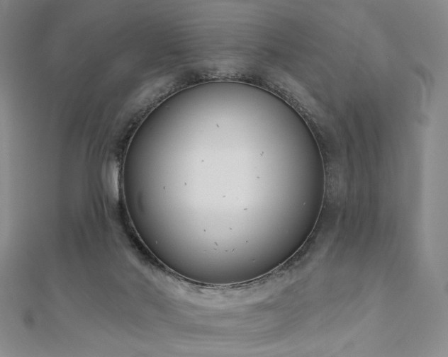 X0000111000022200906191600