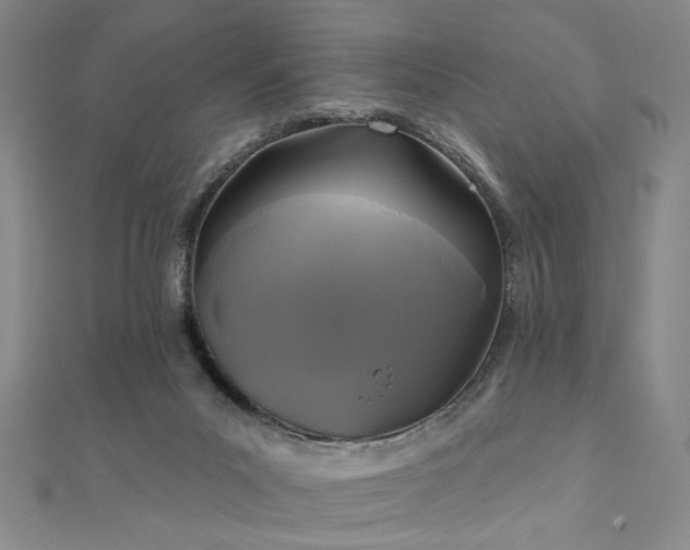 X0000111000023200906191600