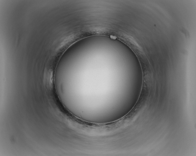 X0000111000024200906191600