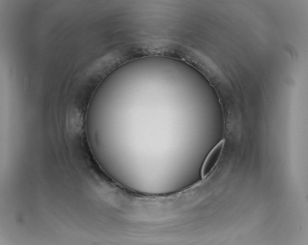 X0000111000025200906191600