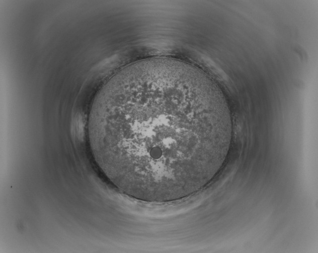 X0000111000026200906191600