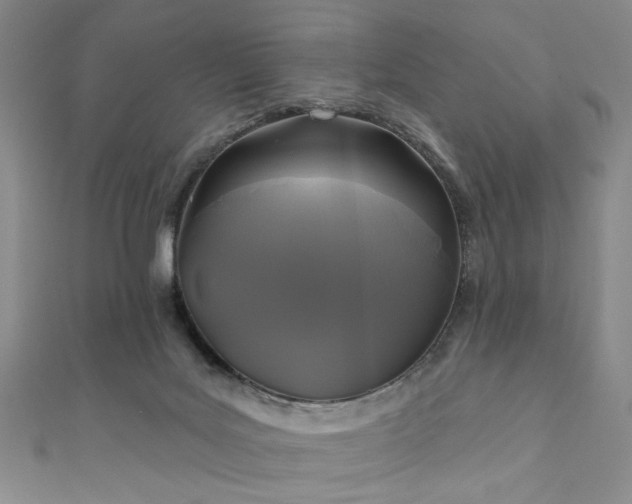 X0000111000027200906191600