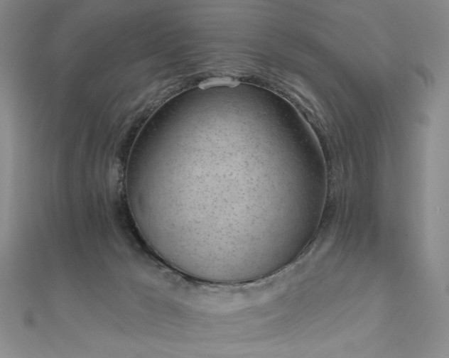 X0000111000029200906191600