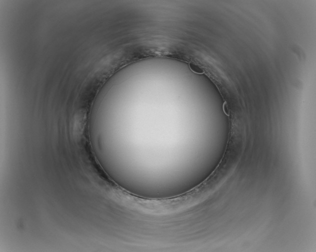 X0000111000030200906191600