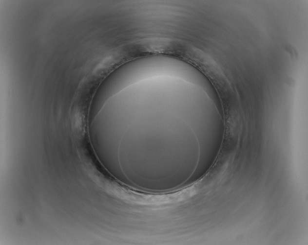 X0000111000031200906191600