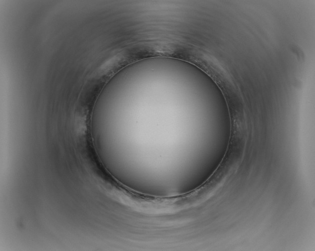 X0000111000032200906191600