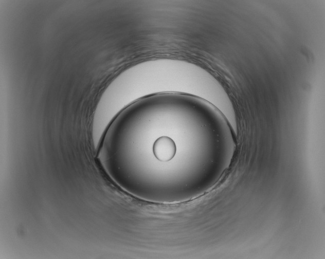 X0000111000033200906191600