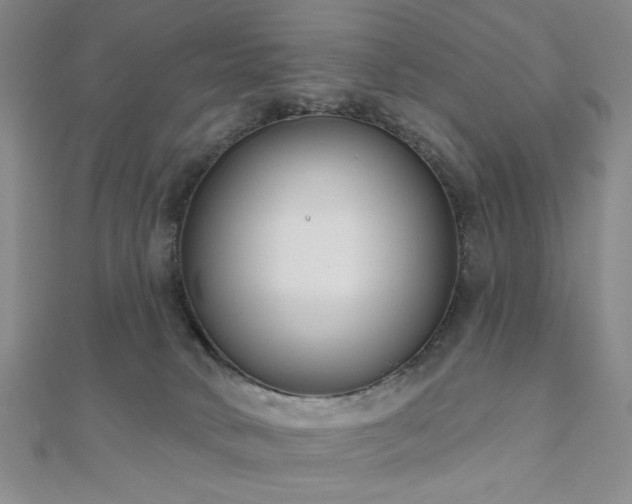 X0000111000034200906191600